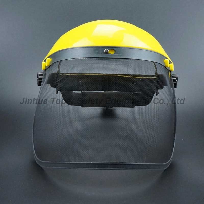 FS4014 (wire mesh visor)