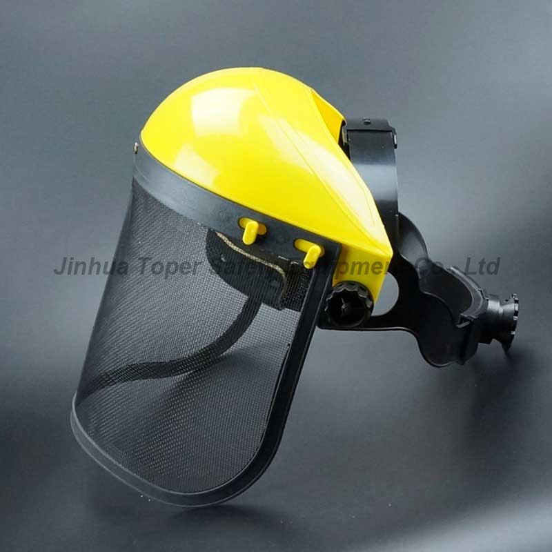 FS4014 (wire mesh visor)